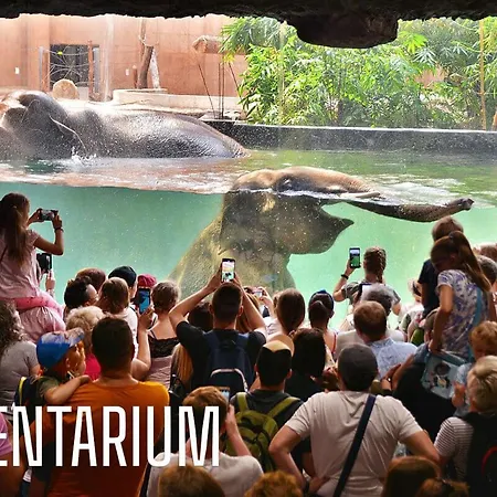 Lodz4rent - Premium 9,7 - Manufaktura - Garaz - Ziemia Obiecana 2026